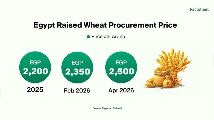 An Eye on Egypt’s Agriculture Sector